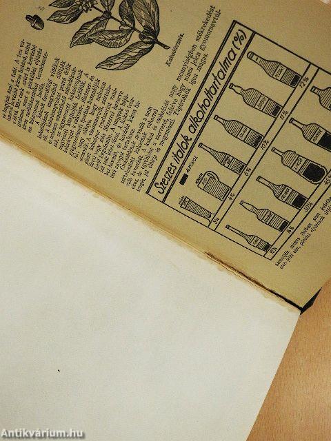 Orvos a családban I.