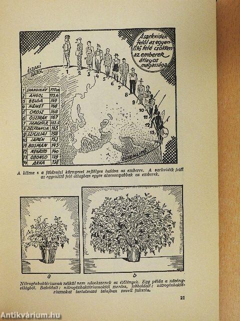 Orvos a családban I.