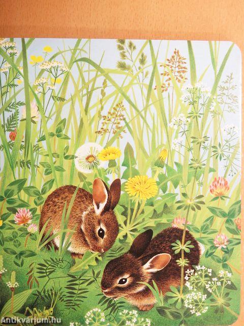 Én vagyok a kisnyuszi