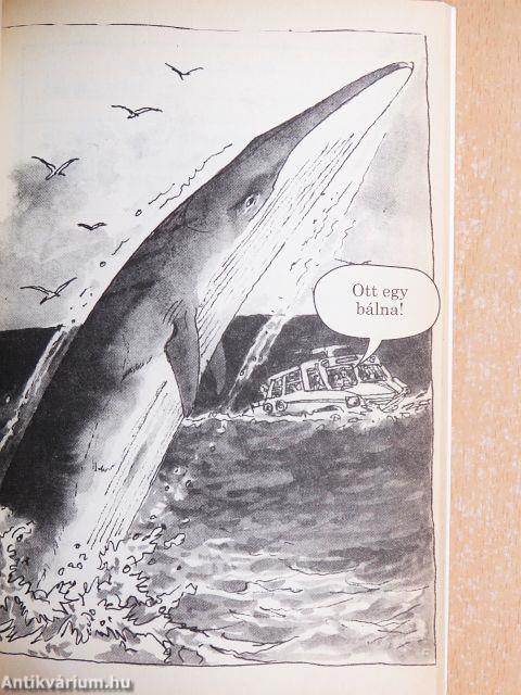 Bálnák, delfinek, cetek