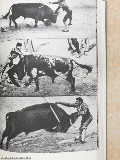 Afrikai vadásznapló/Halál délután