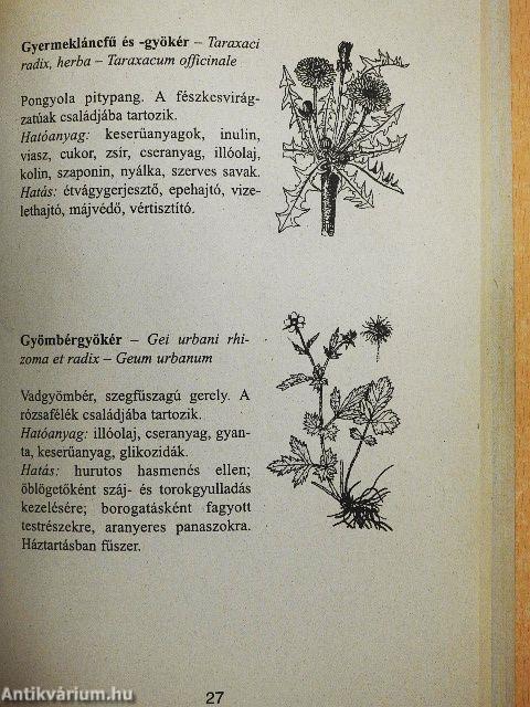 Gyógynövények és gyógyteák