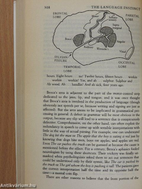 The Language Instinct