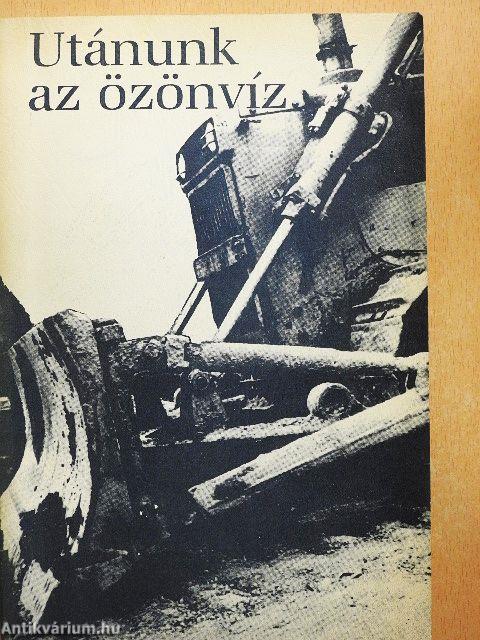 Utánunk az özönvíz