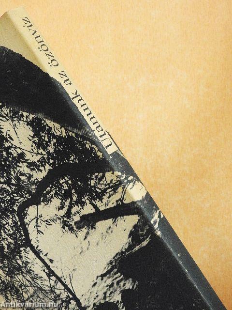 Utánunk az özönvíz