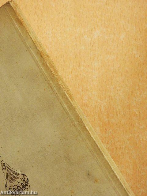 A kézilabdázás alapismeretei