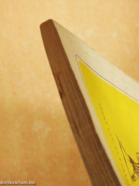 A kézilabdázás alapismeretei