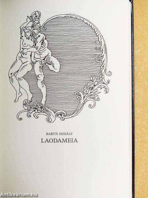 A néma levente és más költői játékok