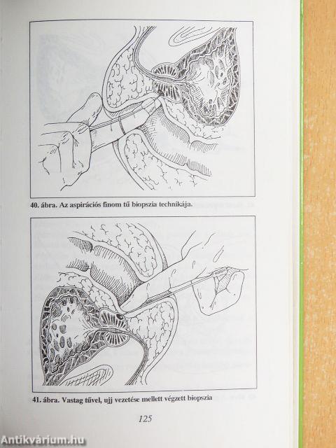 Férfidolgokról nemcsak férfiaknak