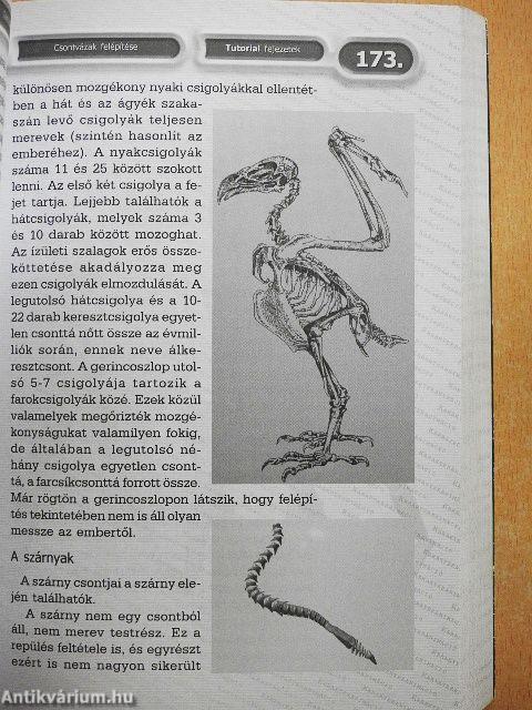 3D Studio Max 3 - Karakterek modellezése és animációja