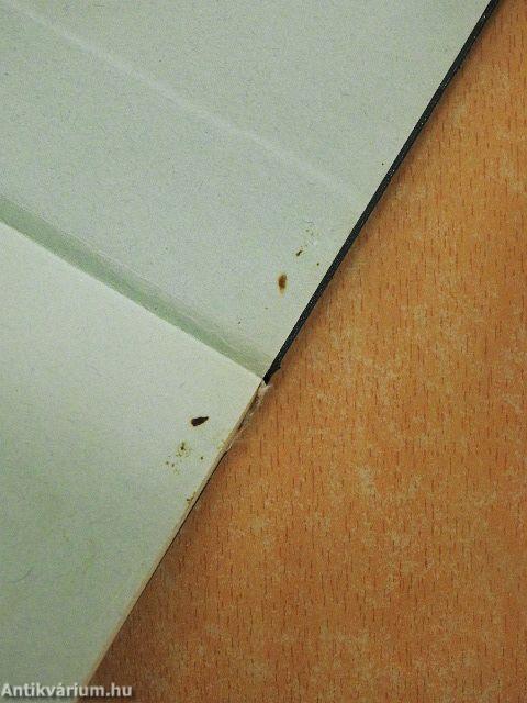 Az ezeregynap legszebb meséi