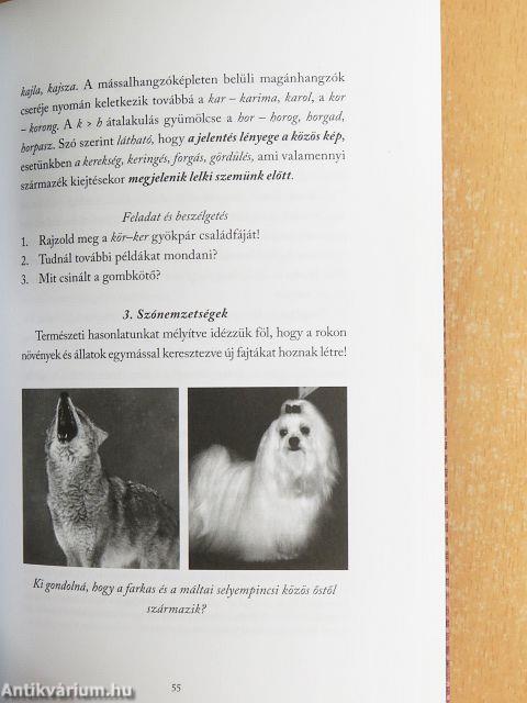 Eredeti magyar nyelvtan