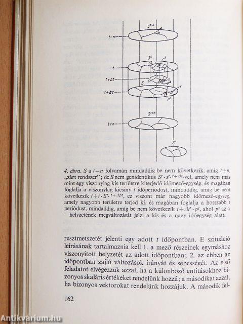 A mezőelmélet a társadalomtudományban
