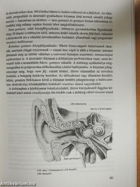 Gyógypedagógiai kórtan