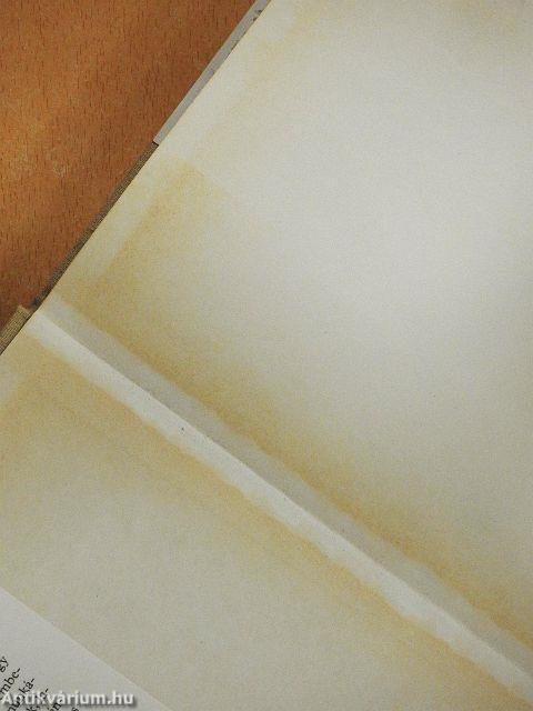 Asszonyok férfisorban