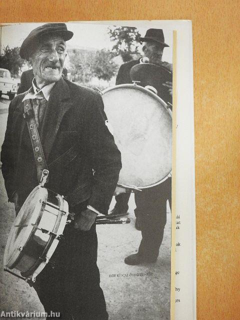 Asszonyok férfisorban