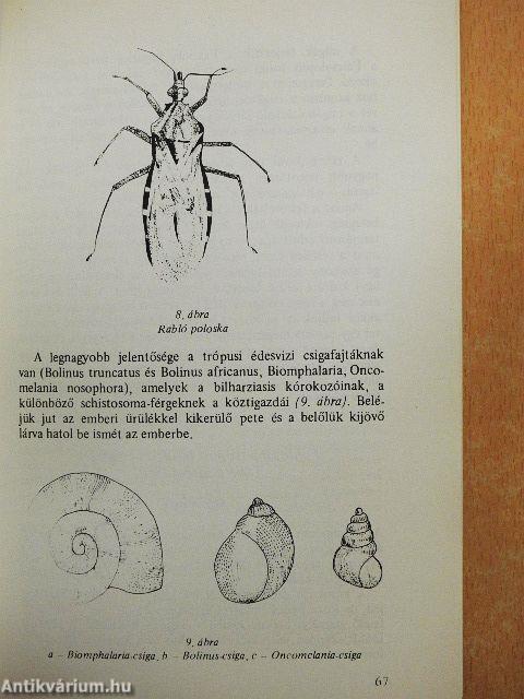 Trópus, utazás, egészség