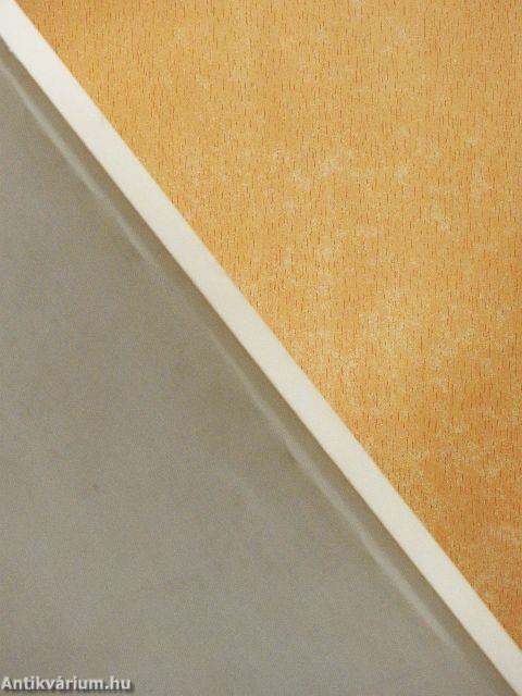 Ágazati és regionális kommunikációföldrajz I.-II.