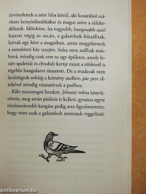 A négy madár titka