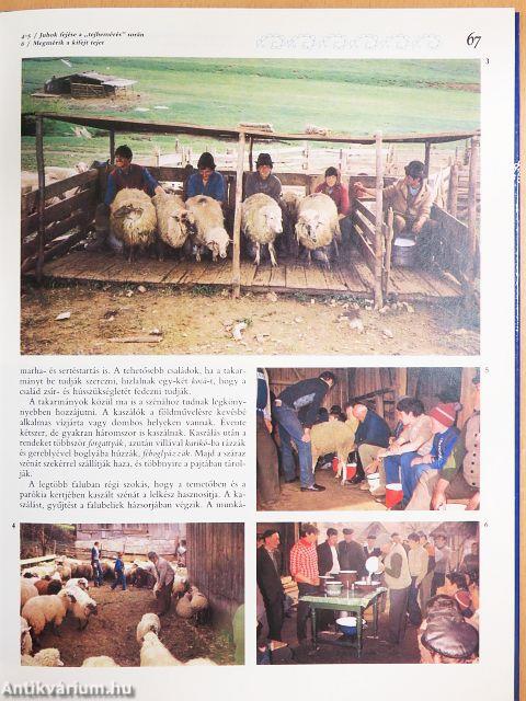 Kalotaszeg - Felszeg