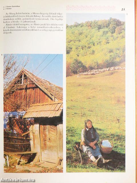 Kalotaszeg - Alszeg, Nádasmente, Kapus vidéke, Átmeneti vidék