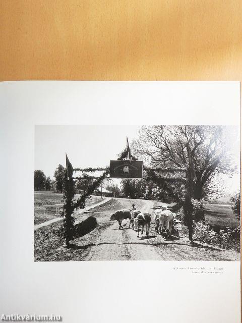 Budapest 1956 - a forradalom