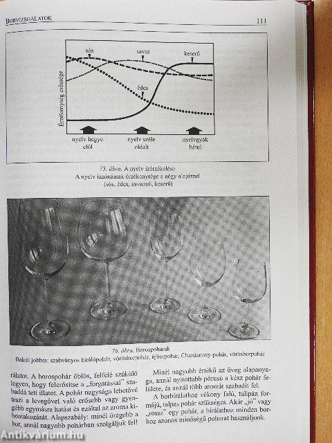 Borosgazdák könyve