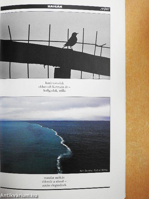 Napút 2016. március