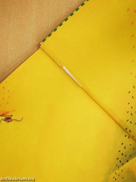 Aladdin és a csodalámpa