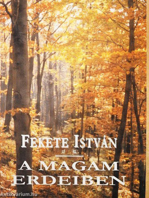 A magam erdeiben