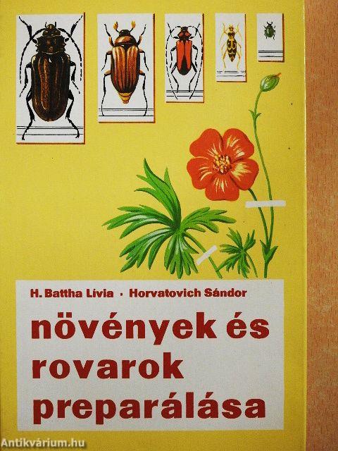 Növények és rovarok preparálása