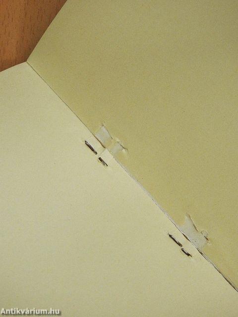 A tökéletes Mária-tisztelet