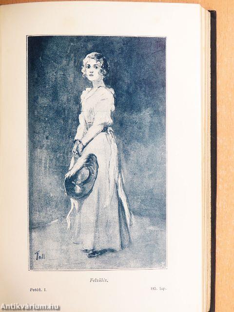 Remekírók Képes Könyvtára 1-50.