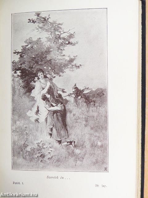 Remekírók Képes Könyvtára 1-50.