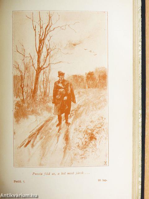 Remekírók Képes Könyvtára 1-50.