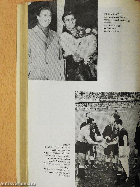 A labdarúgó-világbajnokságok csillagai