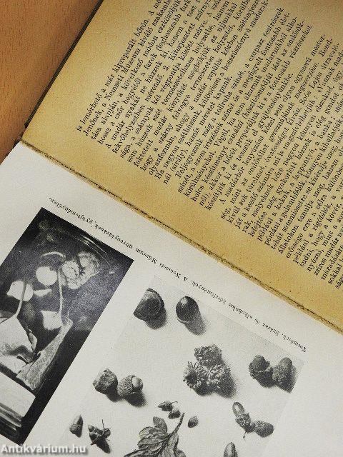 Gyűjtés hegyen-völgyön