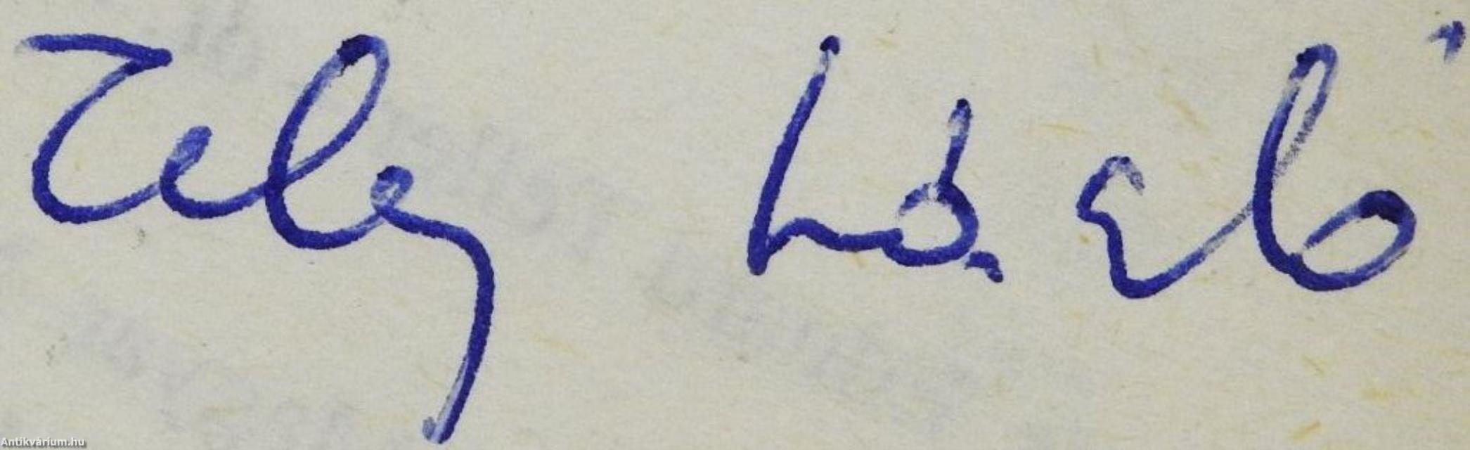 A biztonság bizonytalansága (dedikált példány)