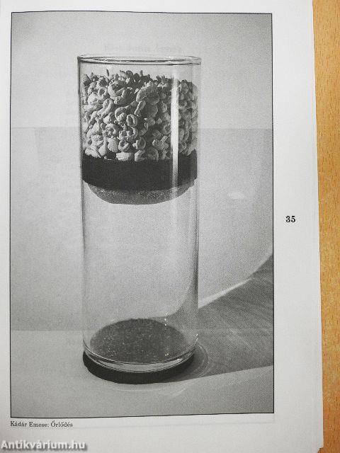 Mozgó Világ 2019. január-december