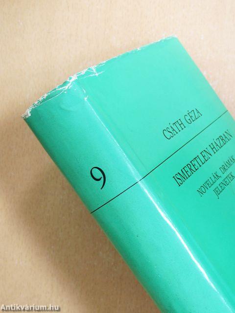 Ismeretlen házban I.