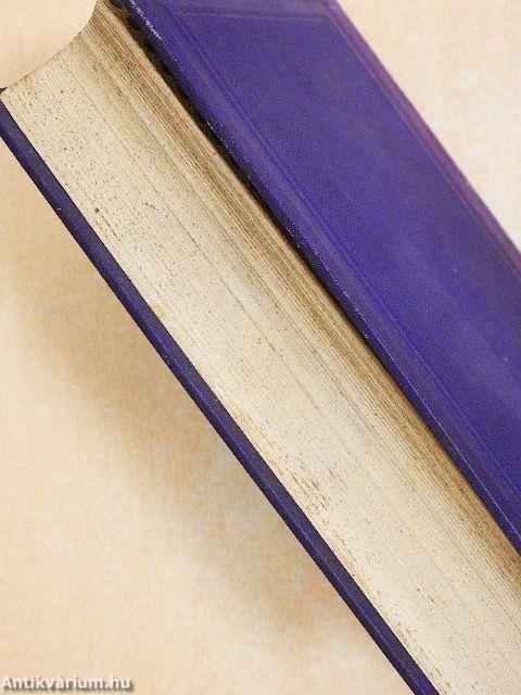 Disegno Storico dell'Arte Italiana