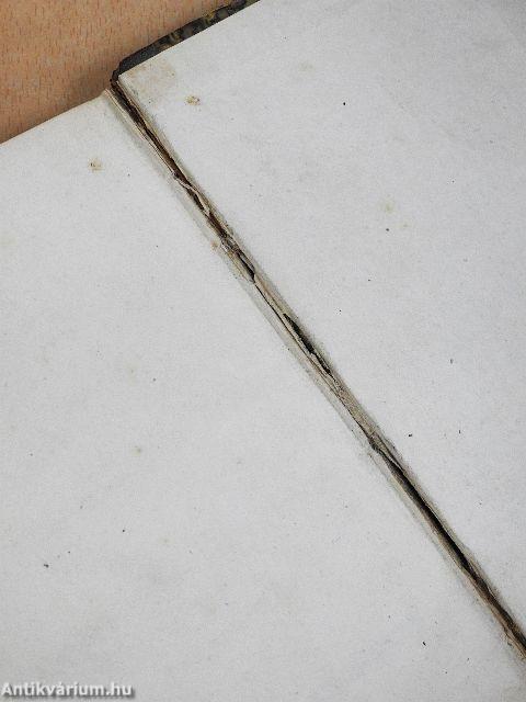 Die Kunstgenossen der Klosterzelle I-II. (gótbetűs)