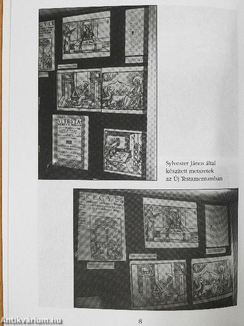 Útikalauz a Biblia világában