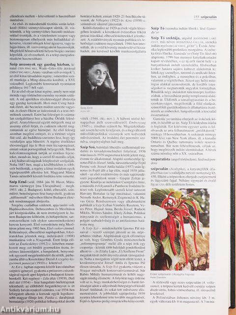 Britannica Hungarica Világenciklopédia 17.