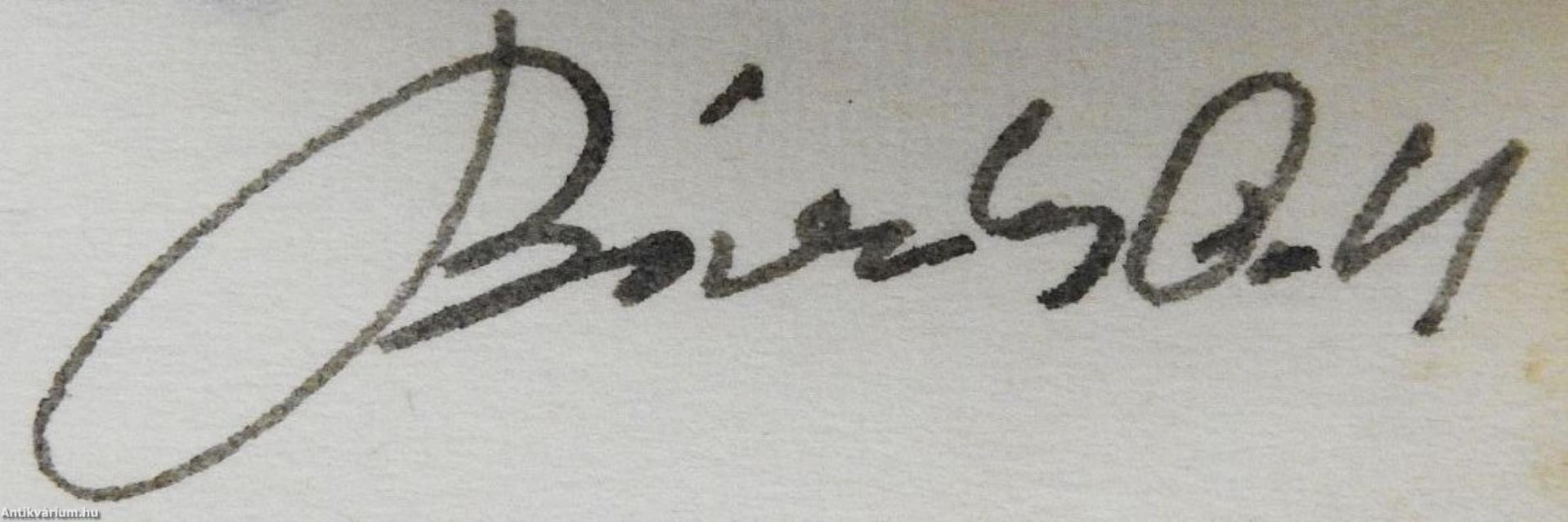 Zűrzavar (dedikált példány)