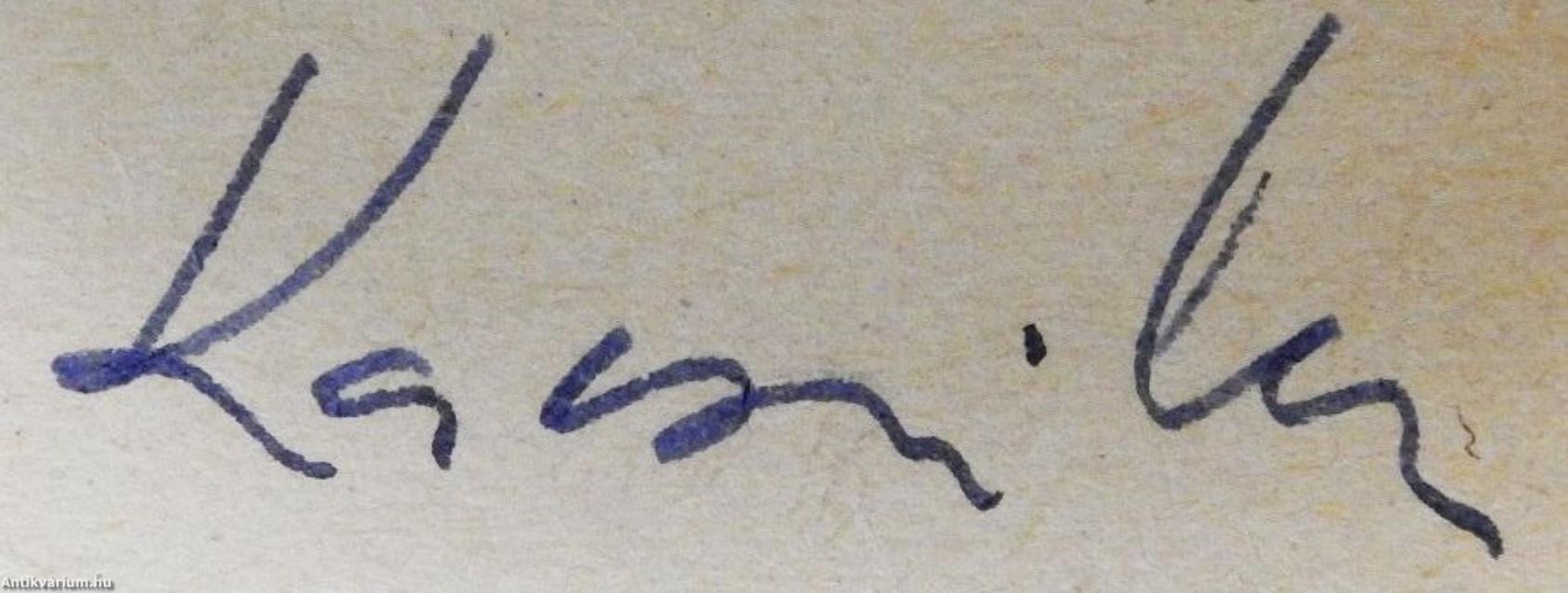 A magyar ellenforradalmi rendszer külpolitikája (dedikált példány)