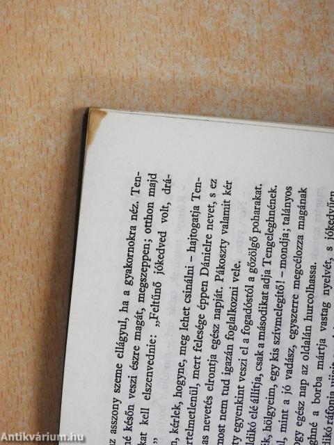 Népszámlálás (dedikált példány)