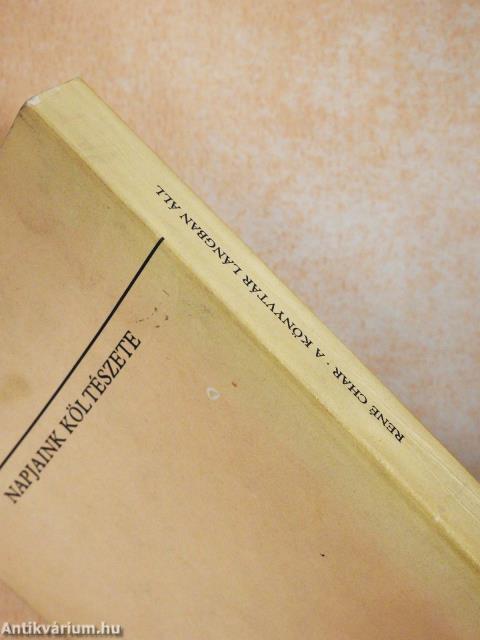 A könyvtár lángban áll (dedikált példány)