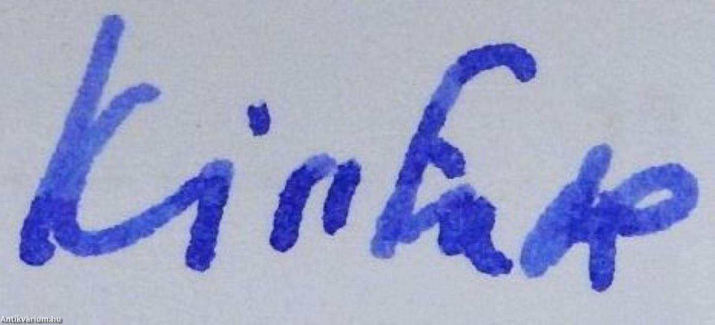 A globális falutól a tudás társadalmáig (dedikált példány)