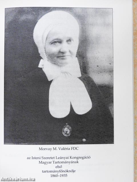 Gyümölcstermő élet tengeren innen, tengeren túl (dedikált példány)